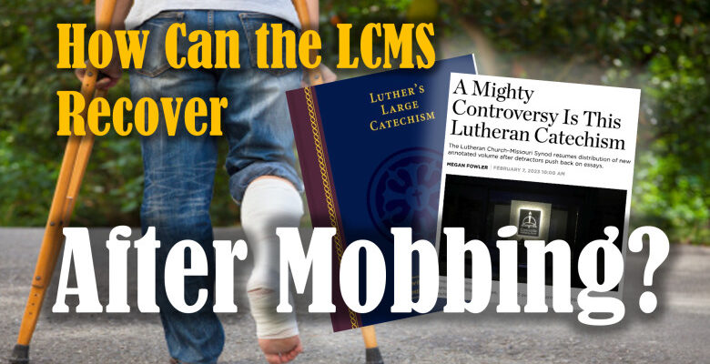 How Can the LCMS Recover After Mobbing?