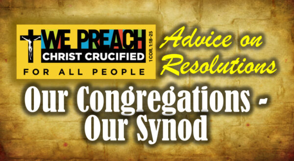 Our Congregations -- Our Synod Advice on Resolutions
